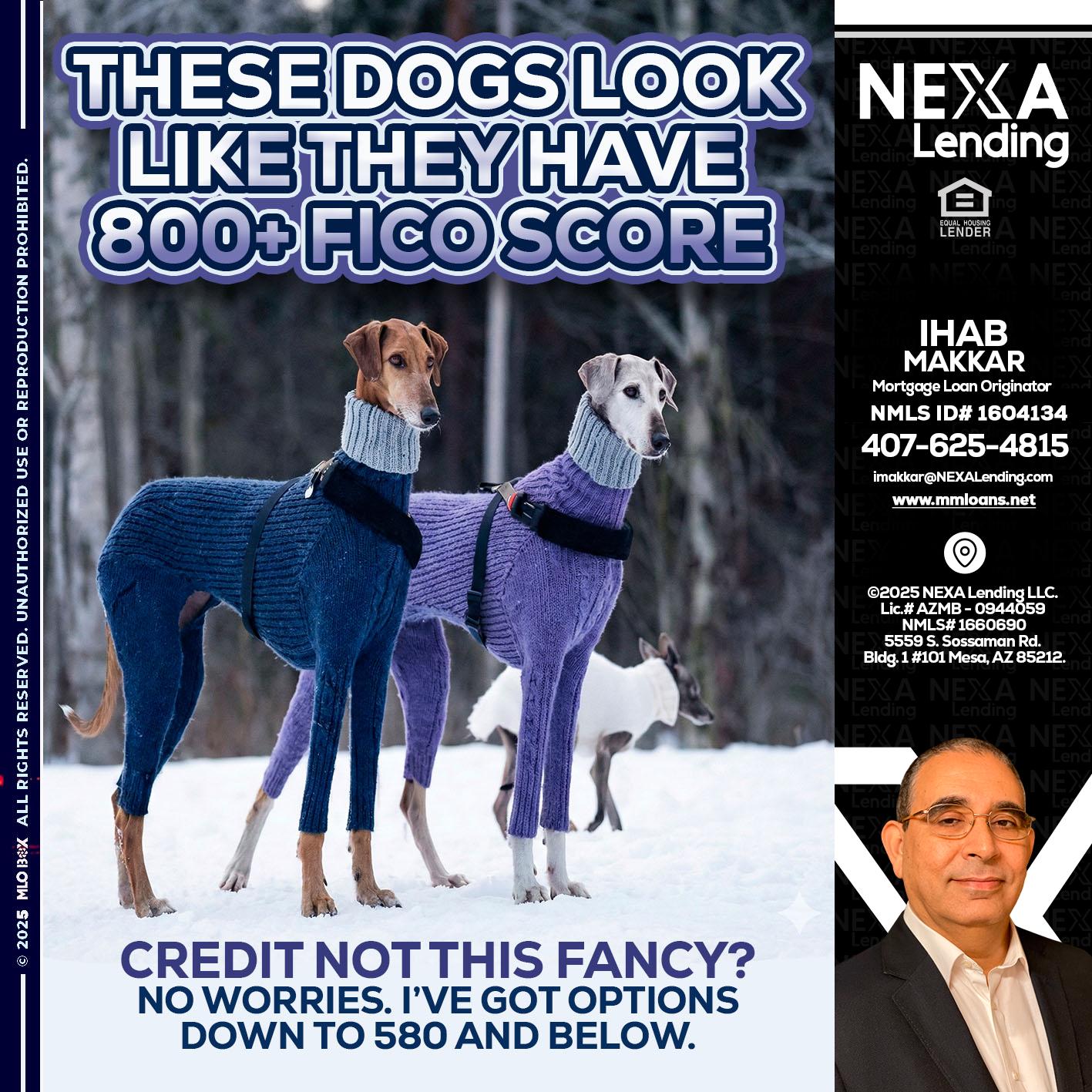 THESE DOGS LOOK - Ihab Makkar -Mortgage Loan Originator